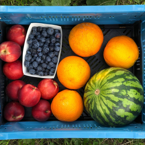 fruitp