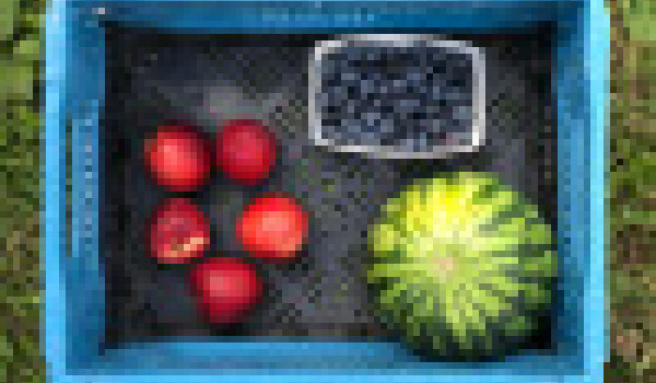 kleinfruit_4weken